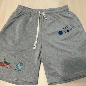 Gray Men's Shorts with Dinosaur Print